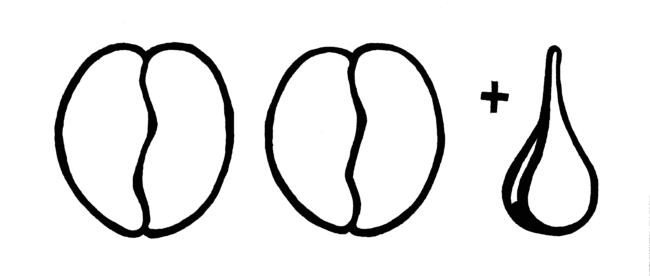 title ideogram