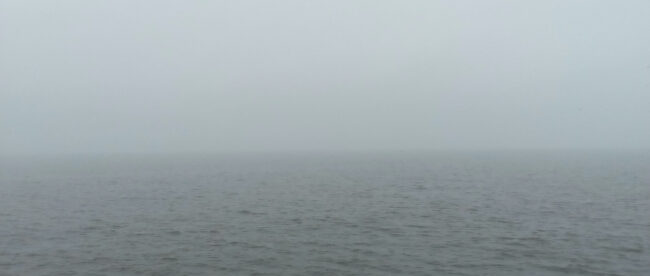 Fog